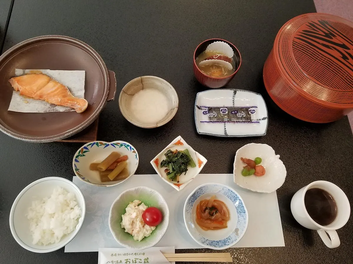 Yakumo Onsen Obokosou 호텔 3*,